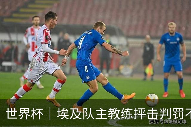 世界杯｜埃及队主教练抨击判罚不公